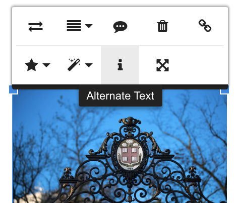 Alternate text button when editing a knowledge article